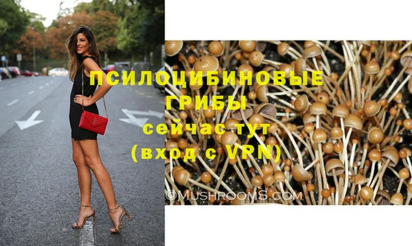 прущая мука Армянск
