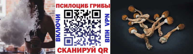 Псилоцибиновые грибы ЛСД  Купить закладки  Десногорск 